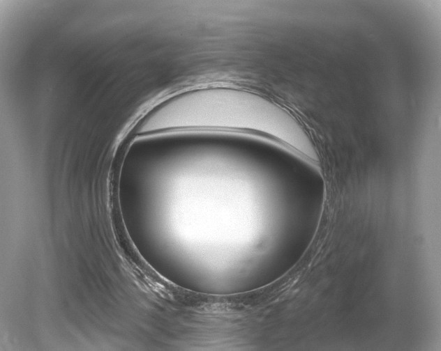 X0000080180244200612081141
