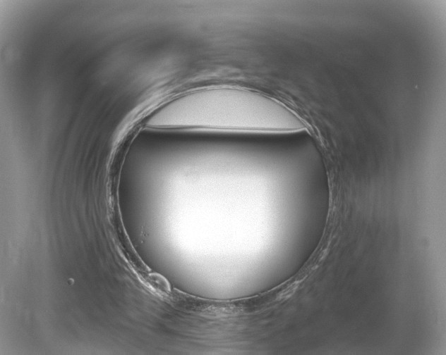 X0000080180245200612081141