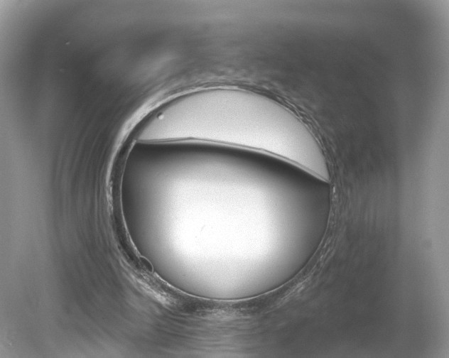 X0000080180246200612081141