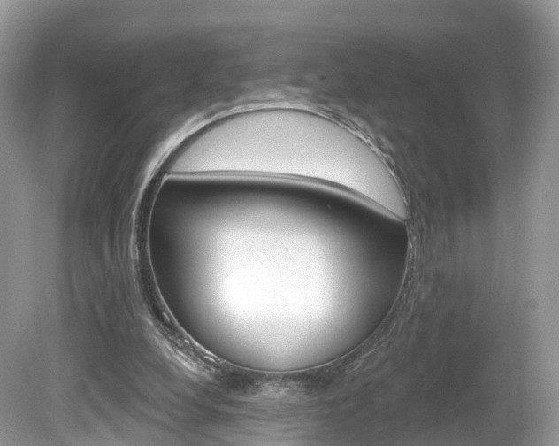 X0000080180248200612081141