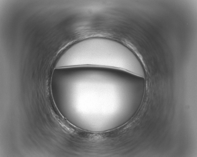 X0000080180249200612081141