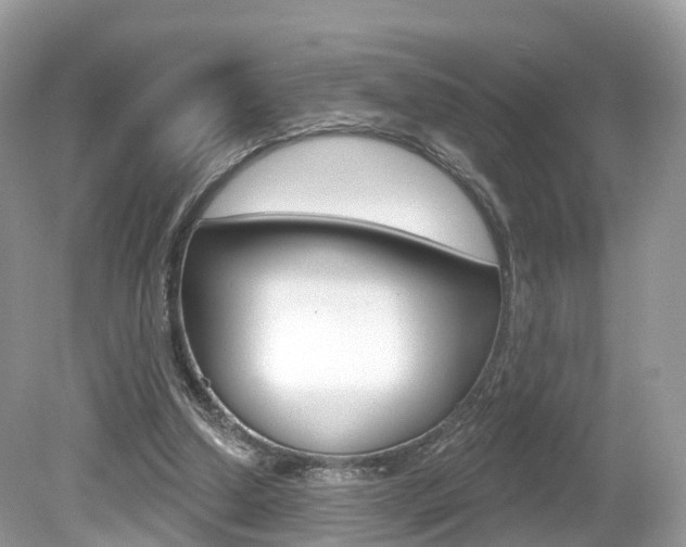 X0000080180250200612081141