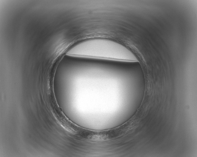 X0000080180251200612081141