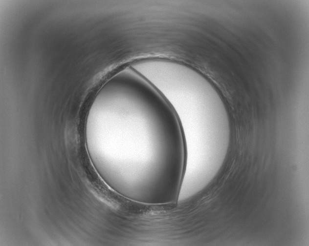 X0000080180252200612081141