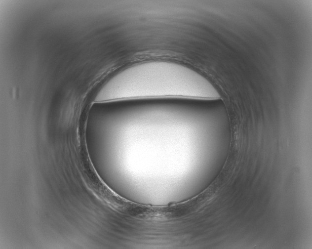 X0000080180254200612081141
