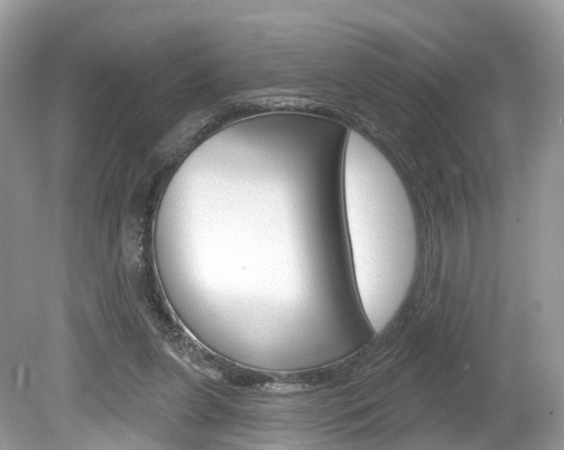 X0000080180255200612081141