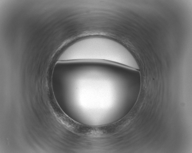 X0000080180256200612081141