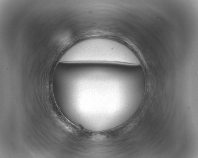 X0000080180257200612081141