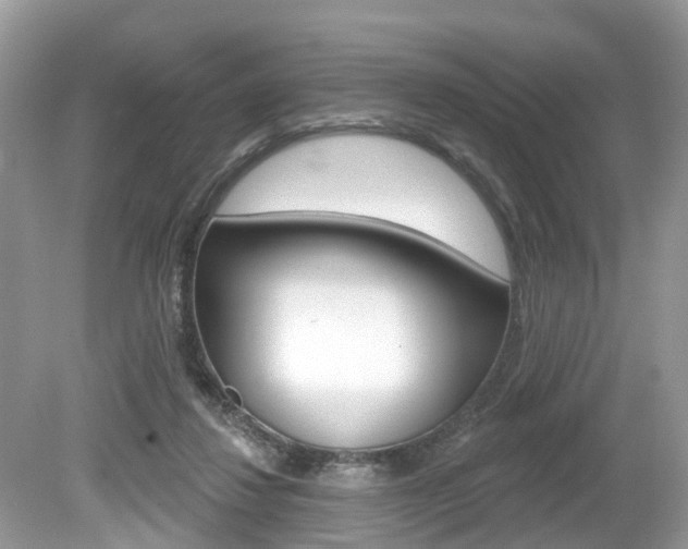 X0000080180260200612081141