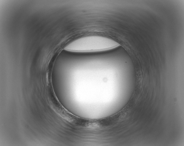 X0000080180262200612081141