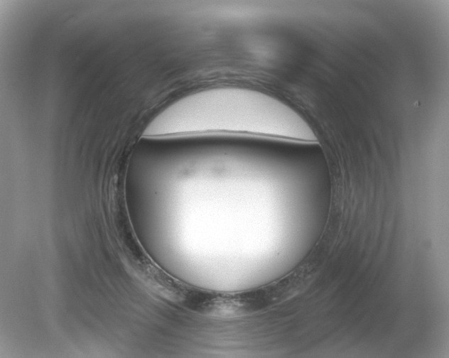 X0000080180263200612081141