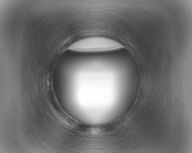 X0000080180264200612081141