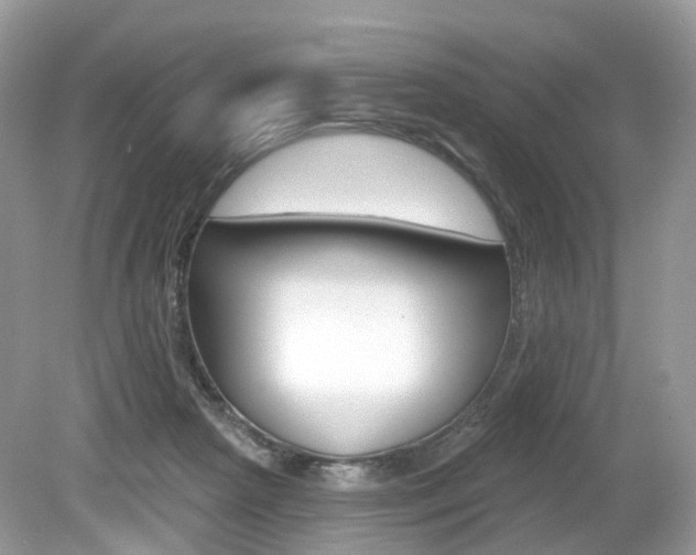 X0000080180265200612081141