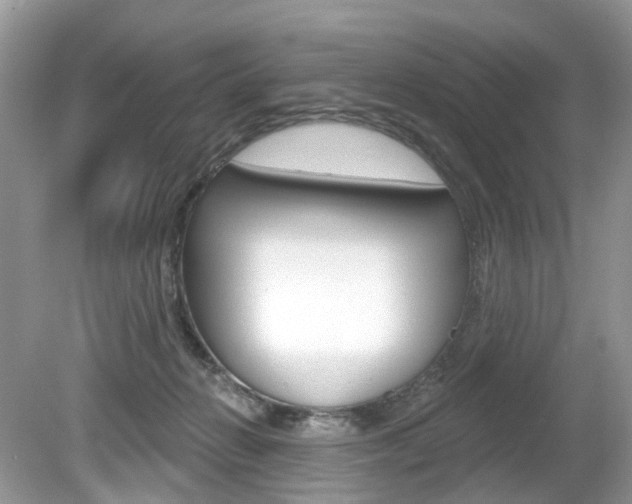 X0000080180270200612081141