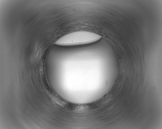 X0000080180274200612081142