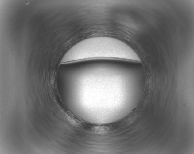 X0000080180277200612081142