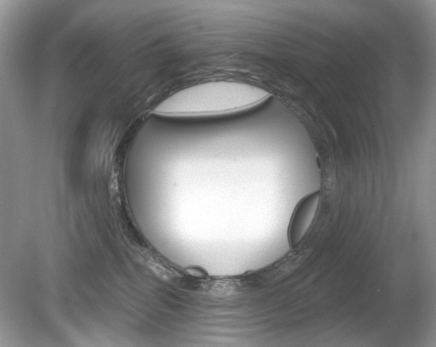 X0000080180282200612081142