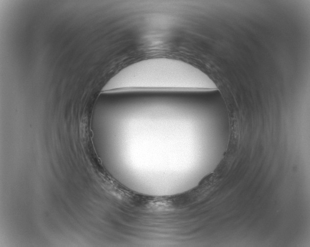 X0000080180283200612081142