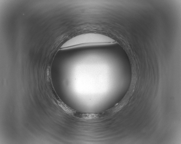 X0000080180288200612081142