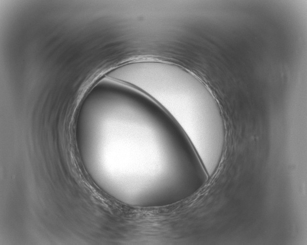 X0000080180289200612081141