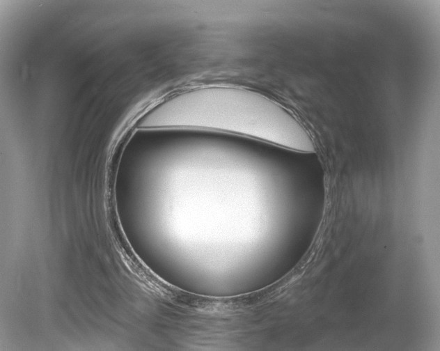 X0000080180293200612081141