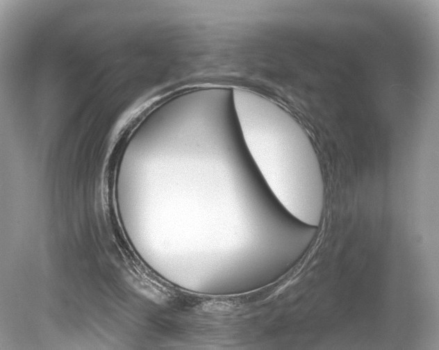 X0000080180294200612081141