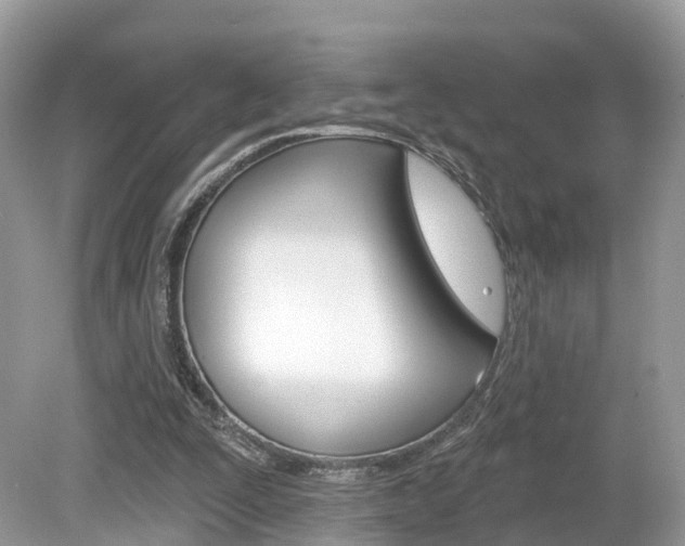 X0000080180295200612081141