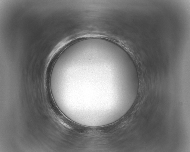 X0000080180296200612081141