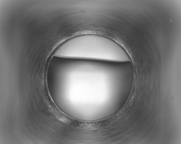 X0000080180297200612081141