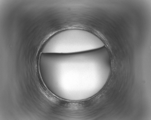 X0000080180298200612081141
