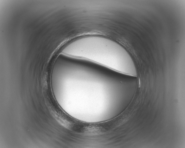 X0000080180300200612081141