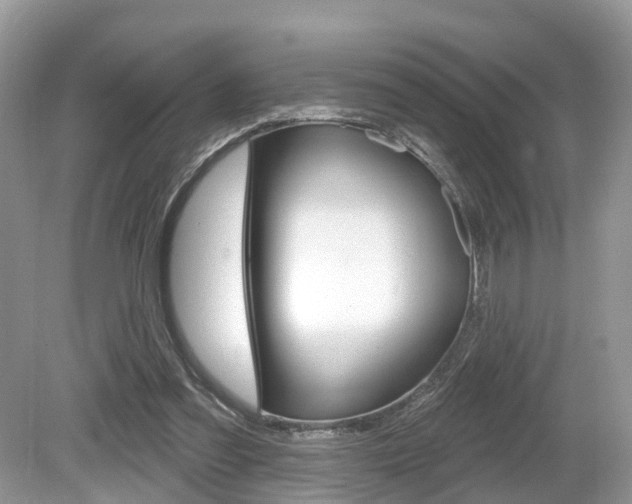 X0000080180301200612081141