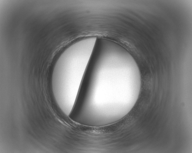 X0000080180303200612081141