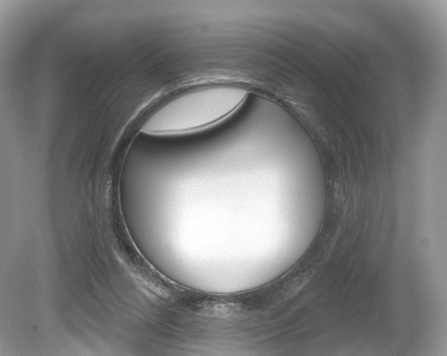 X0000080180304200612081141