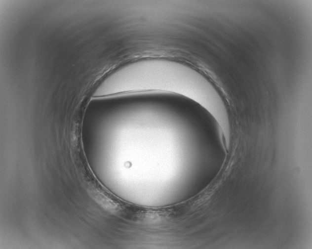 X0000080180305200612081141