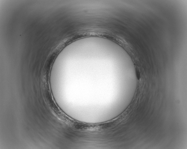 X0000080180306200612081141