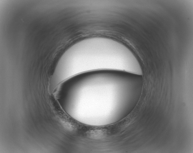 X0000080180307200612081141