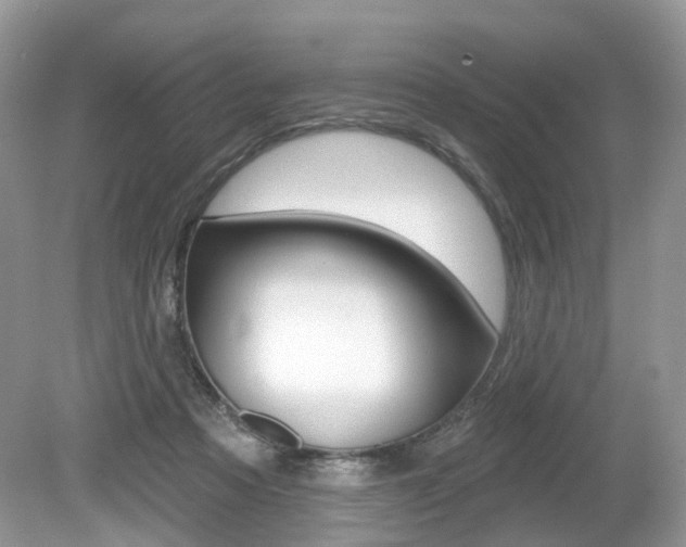 X0000080180313200612081141