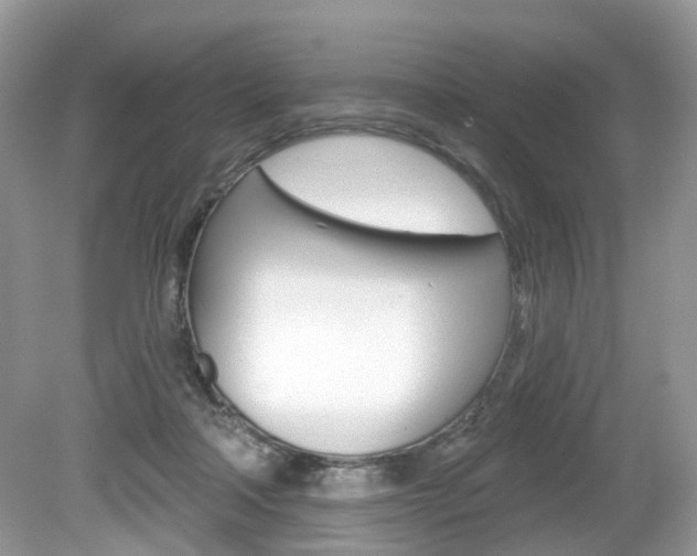 X0000080180314200612081141