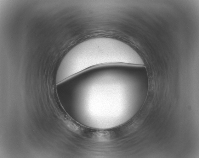 X0000080180317200612081141