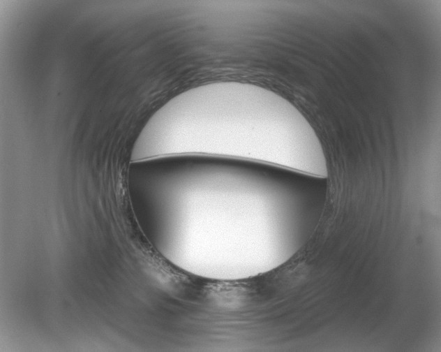 X0000080180331200612081140