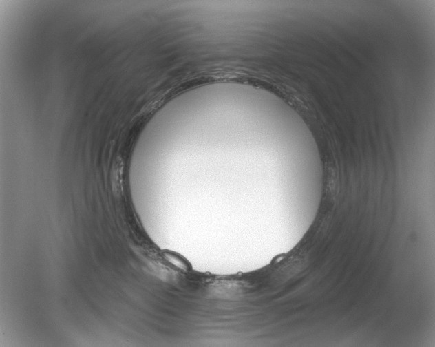 X0000080180332200612081140