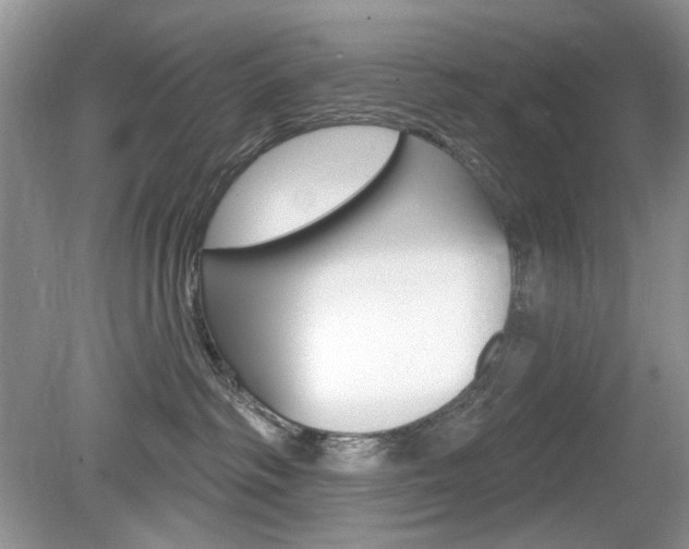 X0000080180334200612081140