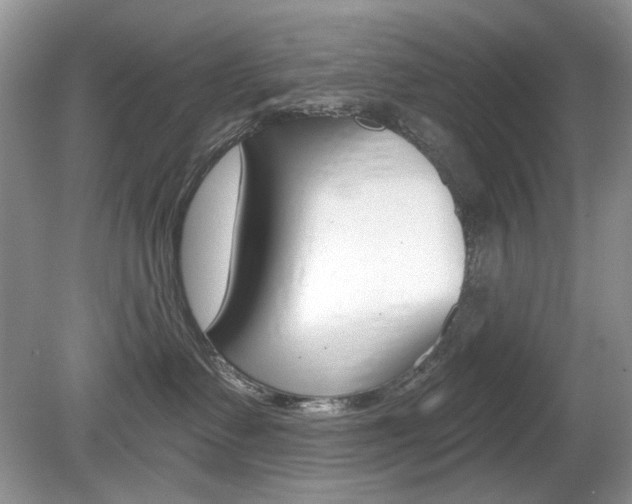 X0000080180335200612081140