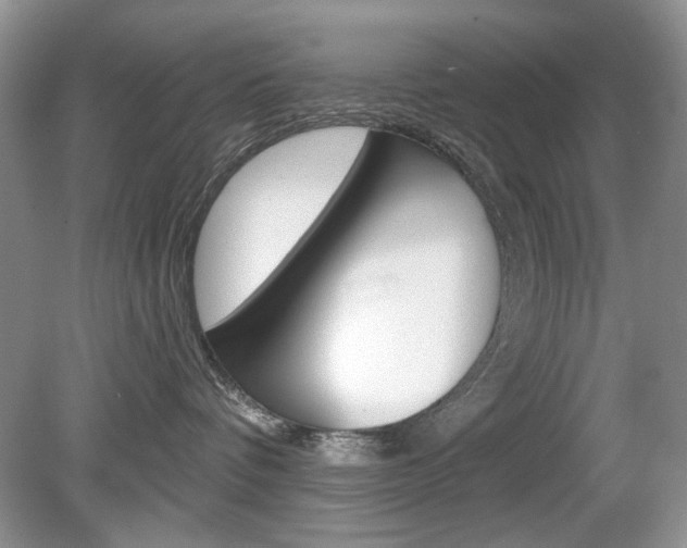 X0000080180336200612081140
