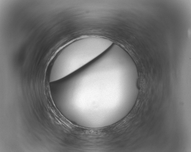 X0000080180338200612081139
