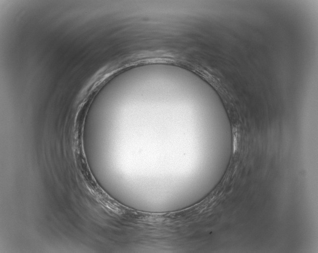 X0000080180339200612081139
