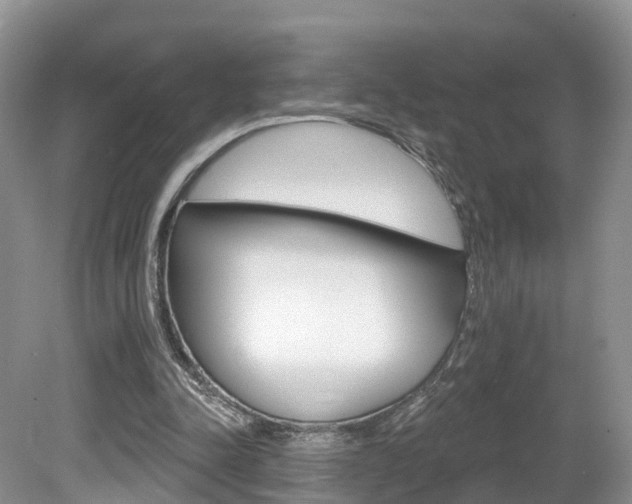 X0000080180342200612081139