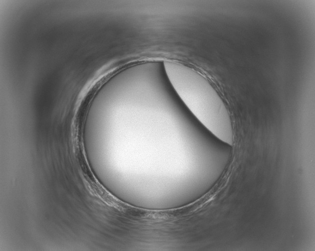 X0000080180343200612081139