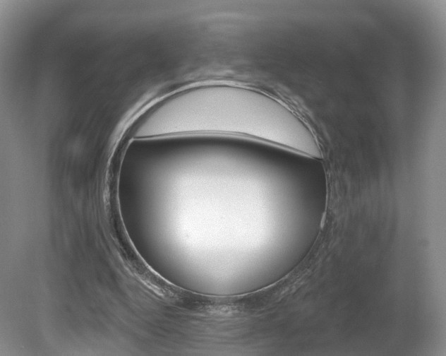 X0000080180344200612081139